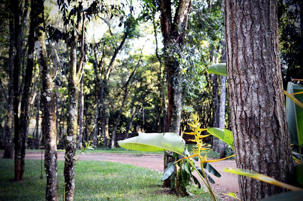 Cabanas Las Termas Villa Obera Exterior photo